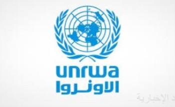 لبنان: هدوء حذر فى مخيم عين الحلوة بعد سقوط 11 قتيلا و40 جريحا