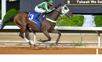 نادي سباقات الخيل ينظم الحفل الـ 49