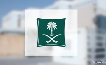 نمو السجلات التجارية في الأندية البحرية 49% بنهاية الربع الرابع من 2023