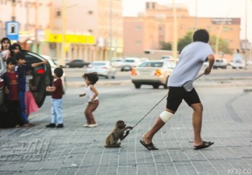 هل إقتناء «القرد» ظاهره يقبلها الذوق العام؟