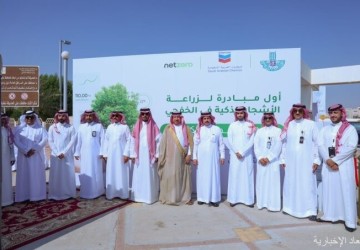 شيفرون تطلق مبادرة زراعة 5000 شجرة ذكية في الخفجي