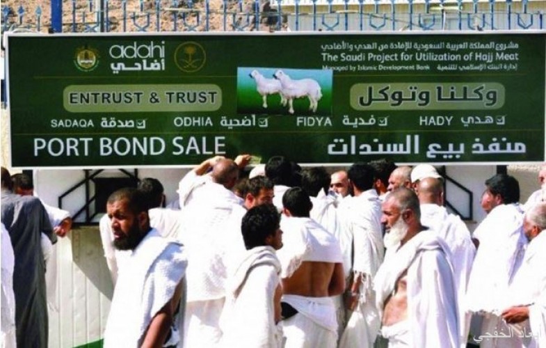 مشروع المملكة للإفادة من الهدي يبيع تسعة مليارات رأس خلال 35 عاما صحيفة أبعاد الإخبارية