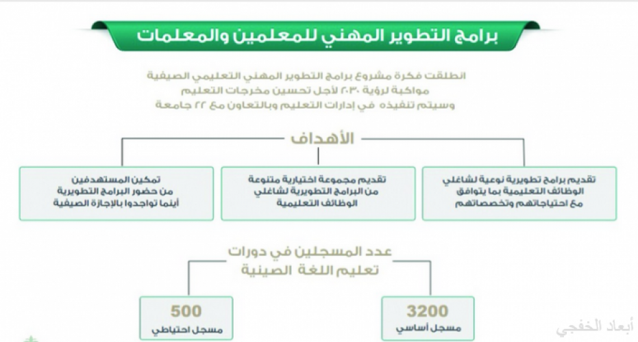 المهني عسير النمو للمعلمين.. أساليب