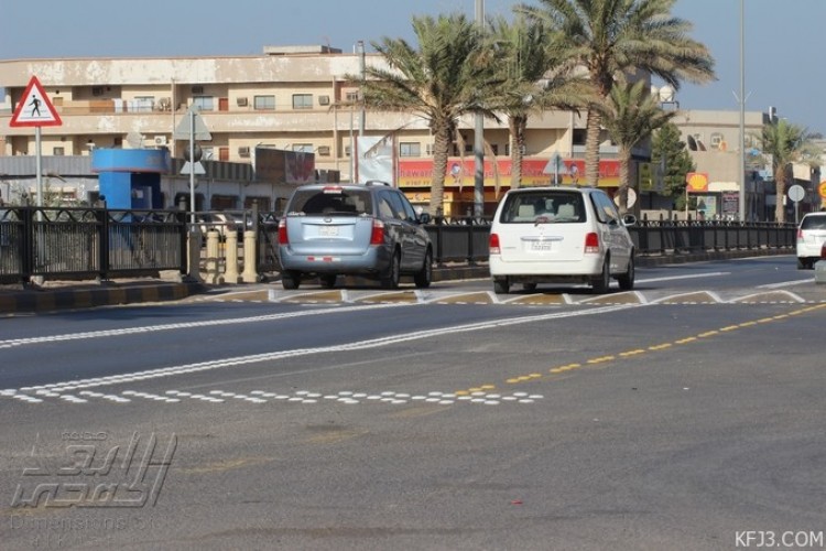 انزعاج للكثرة والحجم البارز لـ عيون القطط المنتشرة في شوارع الخفجي صحيفة أبعاد الإخبارية