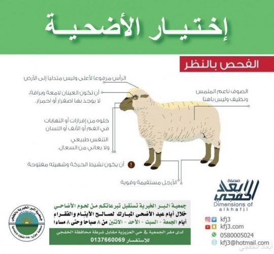 الجمعية الخيرية بالخفجي تستقبل لحوم أضاحي العيد صحيفة أبعاد الإخبارية