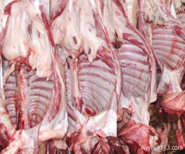 مطالب بتشجيع الاستثمار الخارجي في إنتاج اللحوم الحمراء