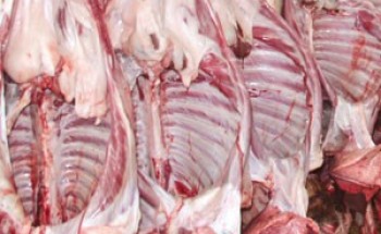 مطالب بتشجيع الاستثمار الخارجي في إنتاج اللحوم الحمراء