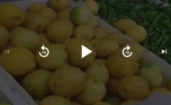 بالفيديو.. جولة ترصد ارتفاع أسعار الخضروات والفواكه ومدى وفرتها في الخفجي