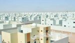 مقتل 30 حوثيا وأسر 13 آخرين بمديرية حيس اليمنية