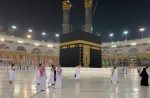 أكثر من نصف مليون ريال صفقات مزاد اليوم الرابع للصقور
