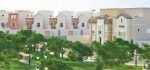 الطائي يقيل دراغان.. ويتعاقد مع الكوكي
