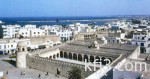العصيمي: تعيين 406 معلمات رياضيات خلال أيام