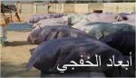 «النقل العام» يطلق خدمة استقبال الشكاوى والملاحظات عبر «الواتساب»