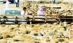 الهيئة العامة للأوقاف تعقد اجتماعها الاول وتختار محافظها الجديد