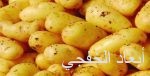 قطاع الإسمنت: آمالنا في انتعاش القطاع معقودة على بـدء مـشـروعـات كـ«جـدة داون تـاون» و«نـيـوم»