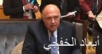 رئيس الأركان اليمنى يشيد بدور التحالف العربى فى دعم الشرعية