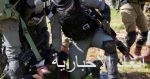 فلسطين تدعو المنظمات الدولية لاتخاذ إجراءات لوقف اعتداءات الاحتلال على الحرم الإبراهيمي