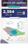 أكبر مركز إسلامي بأميركا اللاتينية يتوشح باللون الأخضر احتفاءً بالذكرى الـ 90 لتوحيد المملكة