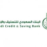مطالبات بتطبيق اختبارات المخدرات على سائقي قطاع النقل