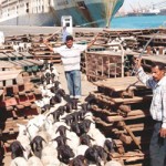 الرياض.. “وافدون” يسيطرون على سوق الأغنام “رغم المنع”