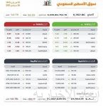 السلطات الأمريكية تعتقل 14 جنديا مكسيكيا لعبورهم الحدود عن طريق الخطأ