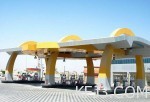 “السعودة” و”الإيجارات” ترفعان أسعار السمك 25%