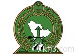 الطلب على الذهب يتراجع إلى أدنى مستوى في ست سنوات خلال الربع الثاني
