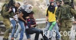فرنسا: مجلس السفراء العرب بباريس يقدم التعازى فى ضحايا الهجمات الارهابية