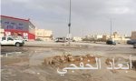 العمل والتنمية الاجتماعية: 59% من مستفيدي الضمان الاجتماعي إناث