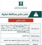 تعاون سعودي إماراتي لتعزيز مبادرات التحوّل الرقمي في المنطقة