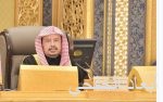 جلسة مباحثات أمنية سعودية – إماراتية