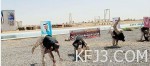 الجارالله: الكويت مستعدة للوساطة بين السعودية وإيران