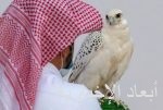 نخبة فرسان القفز يتنافسون على كأس أمير الرياض