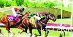 نقطة تفصل الهلال عن اللقب