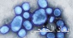 جمهورية أنجوشيا الروسية تنظم فاعلية إنسانية للأطفال السوريين فى دمشق