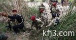 معلومات خريجي الجامعات الخارجية متاحة عبر “تكامل”