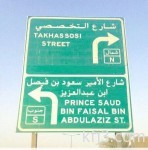نائب الملك يستقبل الأمراء والوزراء وكبار المسئولين وجموع من المواطنين