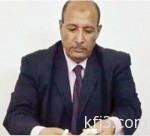 هيئة الطيران: بدء التحقيق للتعرف على أسباب سقوط الطائرة