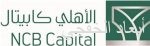 125.6 مليار ريال حجم القروض الاستهلاكية للأفراد.. والعقارية 217.3 ملياراً