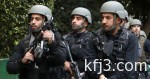 قوات التحالف تنفذ 27 ضربة ضد تنظيم “داعش” فى العراق وسوريا
