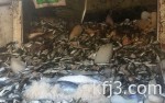 وفاة عبدالله السدحان… إشاعة