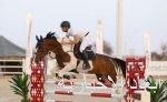 مهرجان الملك عبدالعزيز للصقور يكرّم 18 فائزاً بالملواح في يومه السابع