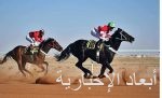 الرئيس التنفيذي لنادي سباقات الخيل: دعم القيادة أسهم في نجاح كأس الفروسية