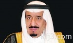جمرك جسر الملك فهد يحبط تهريب أكثر من 600 «طير زينة»
