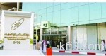 مختص: زراعة الزيتون في الباحة لن تنجح إلا بشراكة حكومية