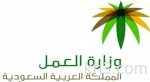 مدير مكافحة التستر التجاري: تلقينا 916 بلاغاً حول التستر في عام واحد.. وأحلنا 290 قضية للتحقيق والادعاء العام