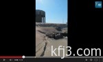 “الصقورالسعودية” يختتم مشاركته في مهرجان سايتك 2014