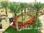 «البلدية والقروية» تنفذ خطة متكاملة لمكافحة آفات الصحة العامة خلال موسمي العمرة والحج