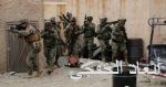 القوات الأمنية العراقية تعثر على سلاح لتنظيم داعش جنوب القائم