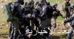 الأردن: القوات المسلحة تحبط محاولة تسلل من سوريا
